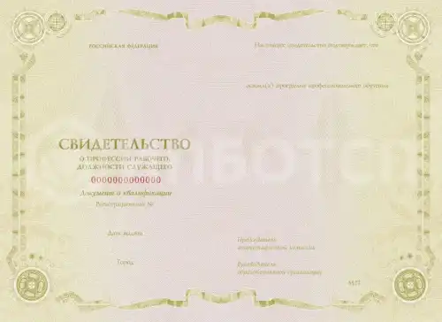 Гравер оригиналов топографических карт